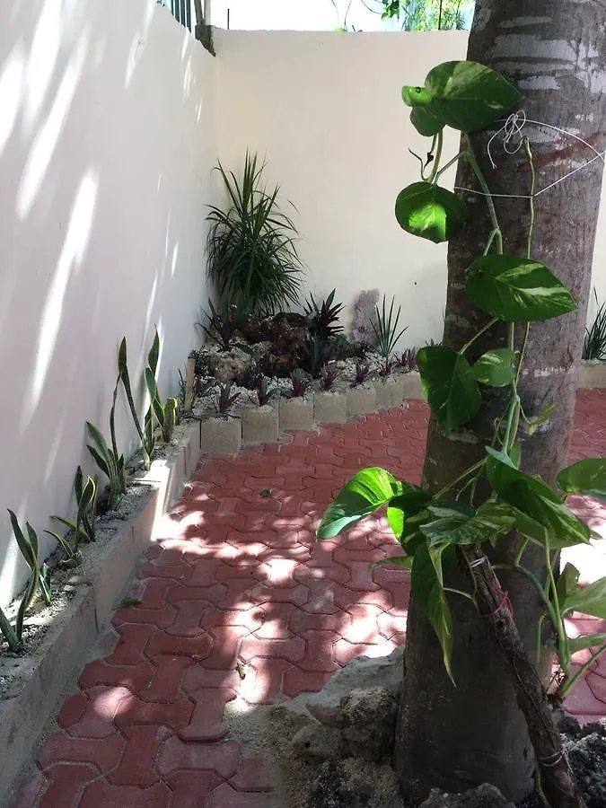 بيت للعطل فيلا بلايا ديل كارمنفي Casa Balam المكسيك